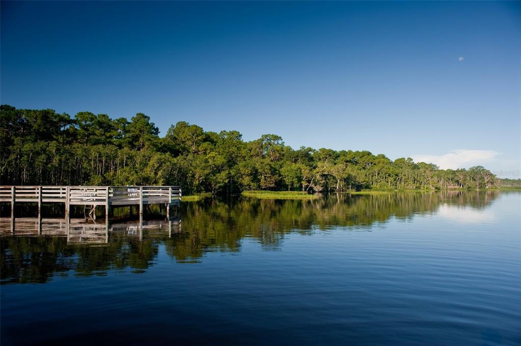 HARMONY, Florida 34773, 4 Bedrooms Bedrooms, ,3 BathroomsBathrooms,Residential,For Sale,OAK GLEN,O6087696