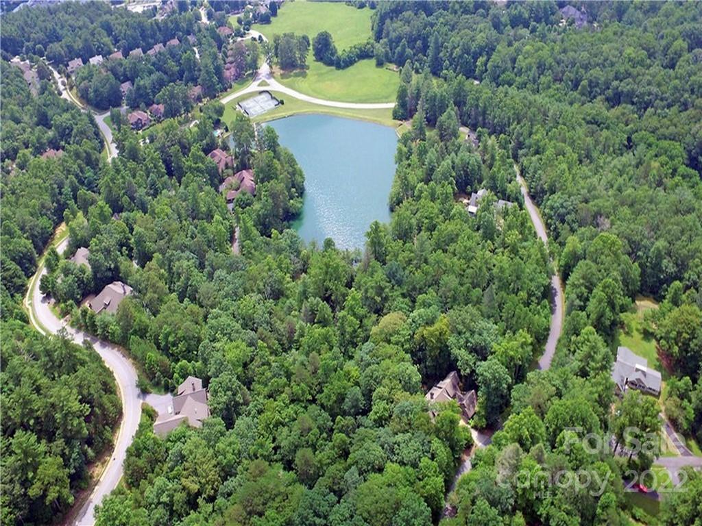 99999 Pine Mountain Trail, Brevard, North Carolina 28712, ,Land,For Sale,Pine Mountain,3778700
