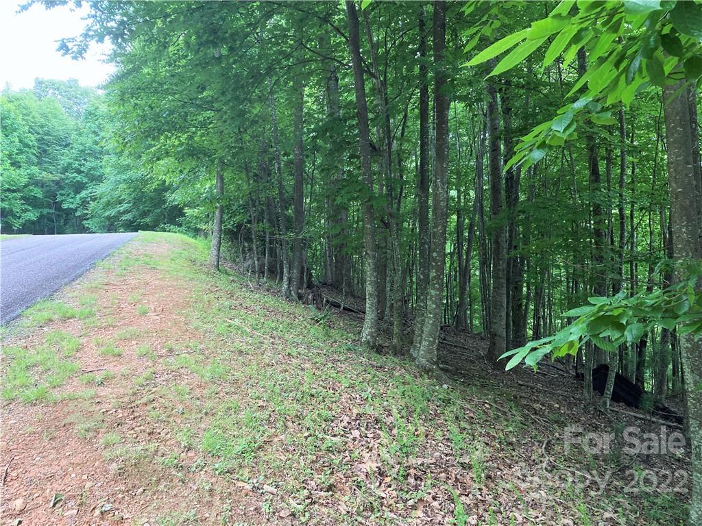 1161 Standing Deer Trace, Arden, North Carolina 28704, ,Land,For Sale,Standing Deer,130,3918894