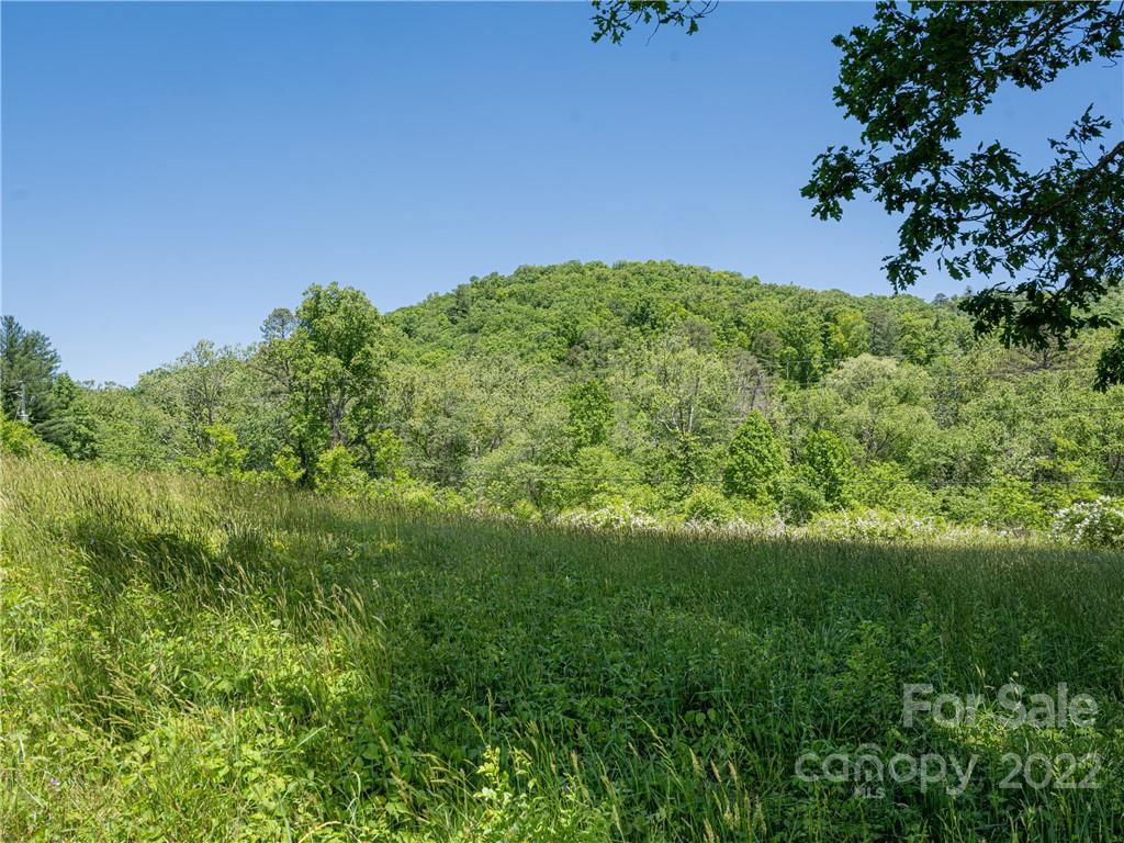 99999 Merrills Cove Road, Asheville, North Carolina 28803, ,Land,For Sale,Merrills Cove,1,3923745